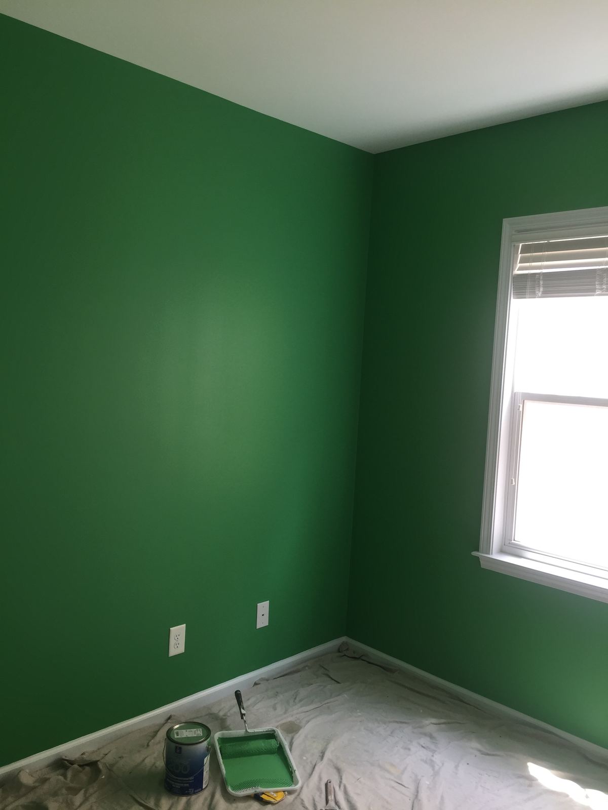 Interior painting in Wendell NC green wall